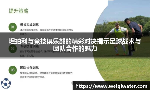 3377体育官网