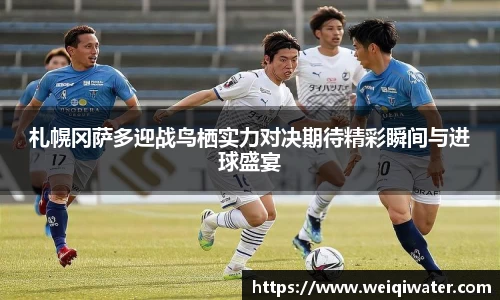 3377体育官网