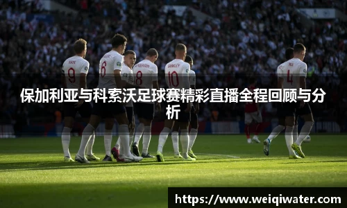 3377体育官网