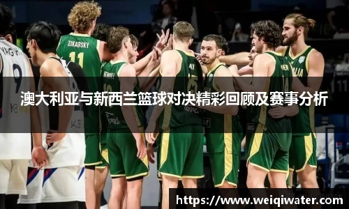 3377体育官网