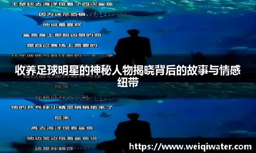 收养足球明星的神秘人物揭晓背后的故事与情感纽带