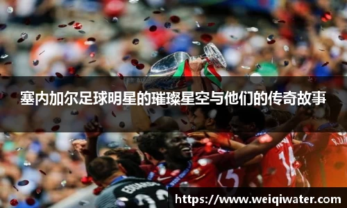 塞内加尔足球明星的璀璨星空与他们的传奇故事